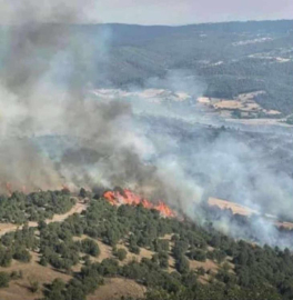 Şırnak’ta orman yangını