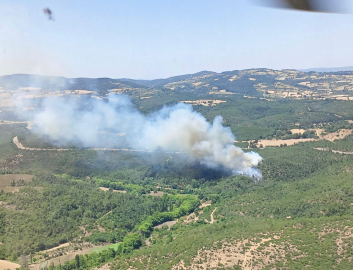 Balıkesir’de orman yangını
