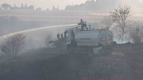 Ormanlık alanda çıkan yangın seralara sıçradı
