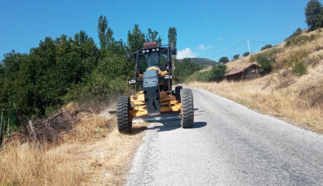 Kütahya’da orman yangınlarına karşı yol kenarları temizleniyor
