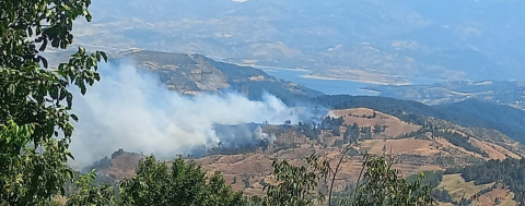 Kahramanmaraş’ta orman yangını
