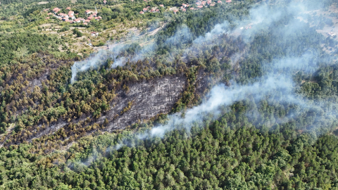 Koca orman kül oldu!