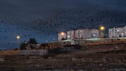 Gökyüzü simsiyah! İşte nedeni...