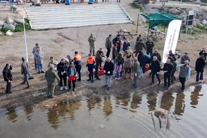 Bursa'da yaban ördekleri ait oldukları yaşam alanına bırakıldı